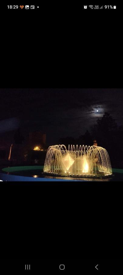 Casa Cojocaru Bed & Breakfast Turnu Măgurele Dış mekan fotoğraf