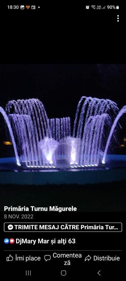 Casa Cojocaru Bed & Breakfast Turnu Măgurele Dış mekan fotoğraf